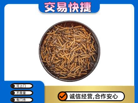 白山高价回收散虫草