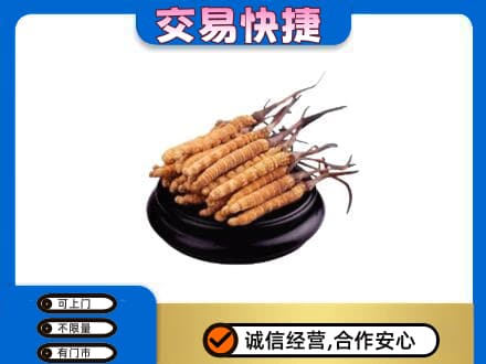 白山礼品回收散虫草.jpg